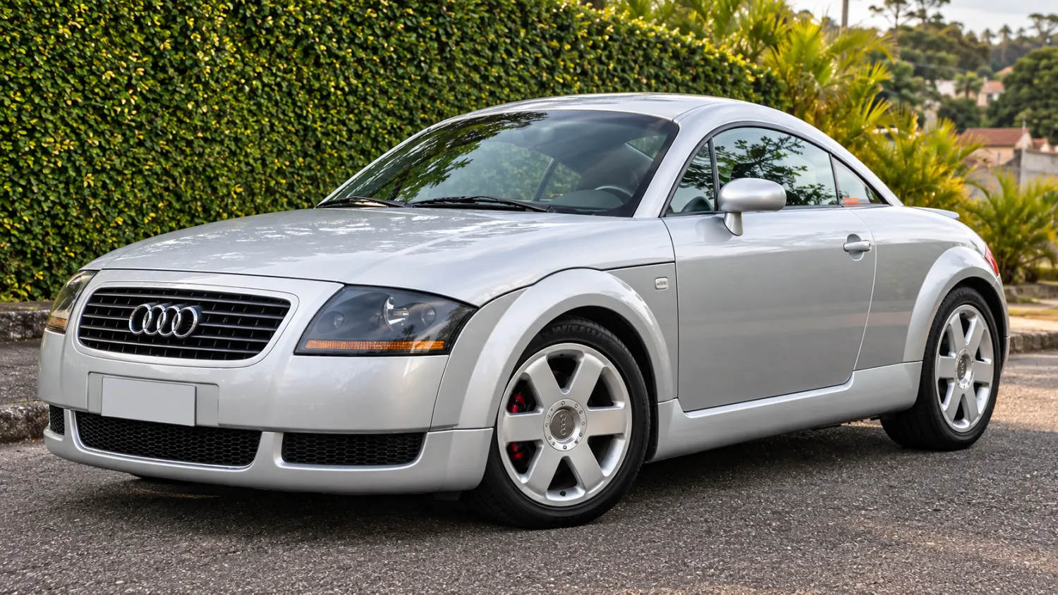 avv-audi-tt-venda-99e8b96-imagem-002