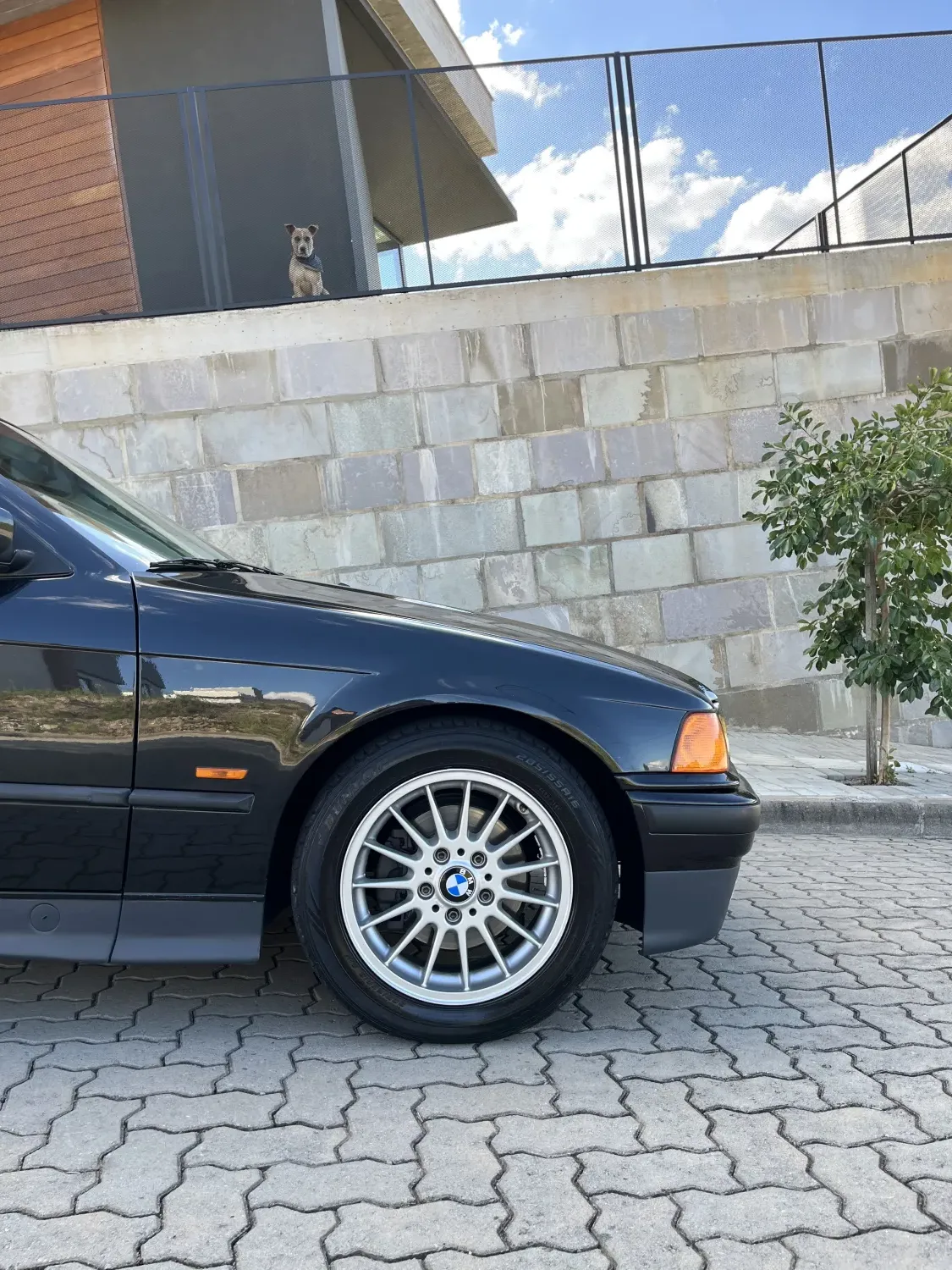 318is - Foto #16 do anúncio à venda de Carro clássico