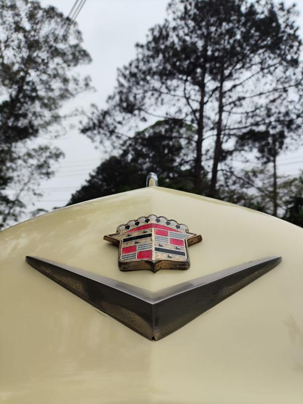 Fleetwood - Foto #11 do anúncio à venda de Carro clássico