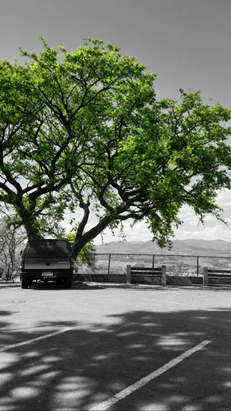 avv-chevrolet-bonanza-venda-7e2f2cf-imagem-014