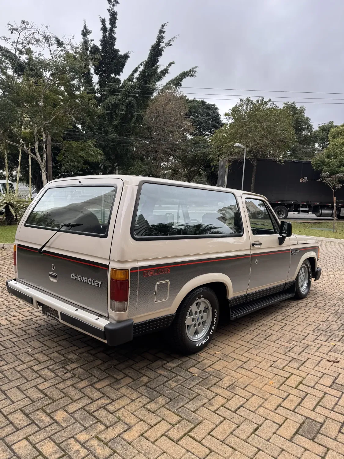 avv-chevrolet-bonanza-venda-cbaaf14-imagem-006