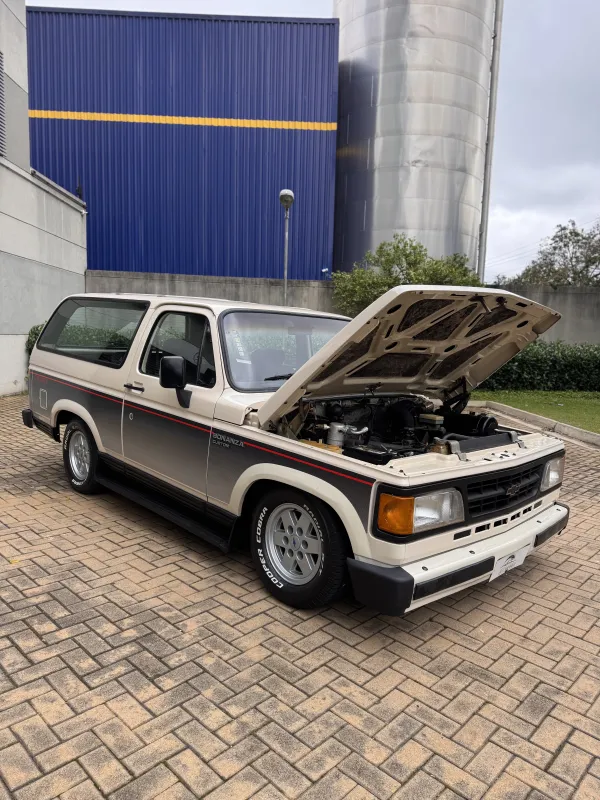 avv-chevrolet-bonanza-venda-cbaaf14-imagem-010