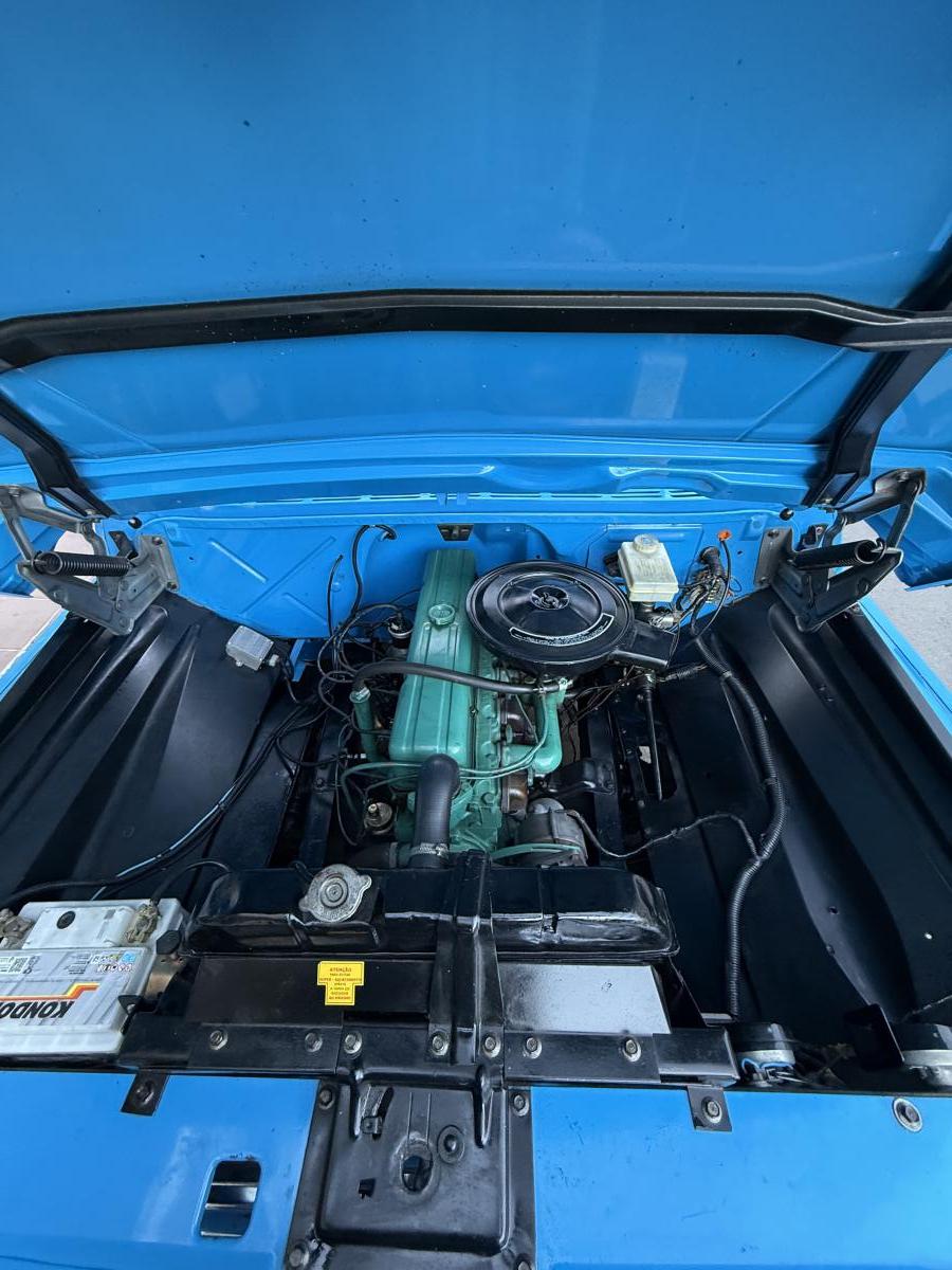 C10 - Foto #3 do anúncio à venda de Carro clássico