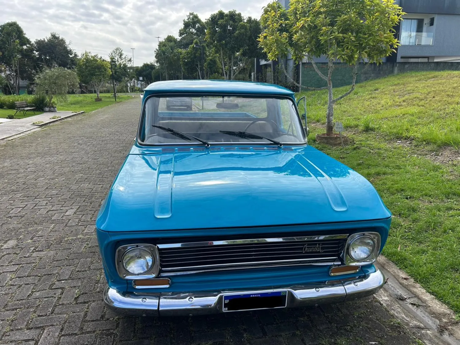 avv-chevrolet-c10-venda-5ccf201-imagem-011