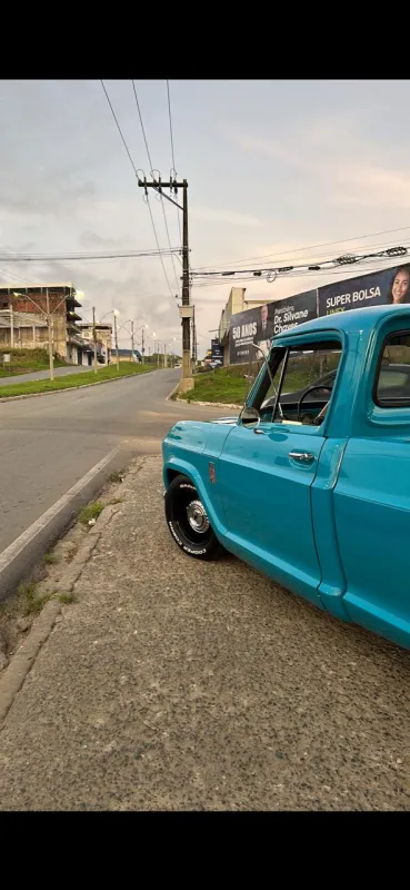 avv-chevrolet-c10-venda-5ccf201-imagem-028