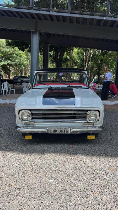 C10 - Foto #9 do anúncio à venda de Carro clássico