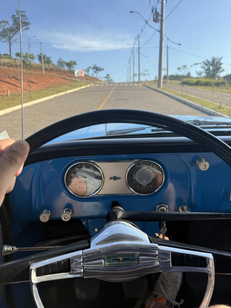 C10 - Foto #18 do anúncio à venda de Carro clássico