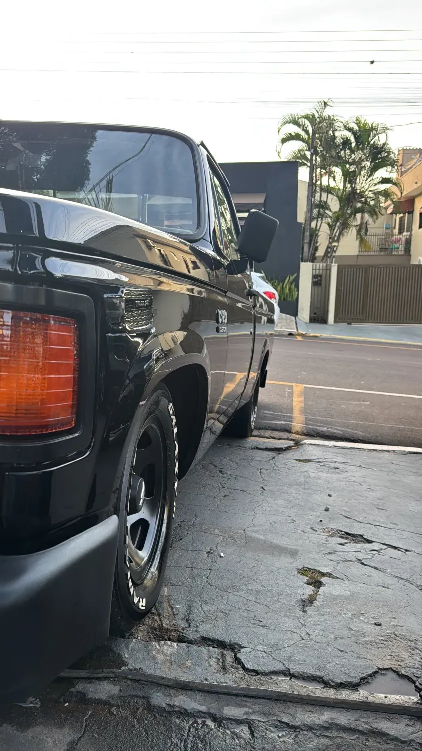 avv-chevrolet-c20-venda-fcd61b9-imagem-013