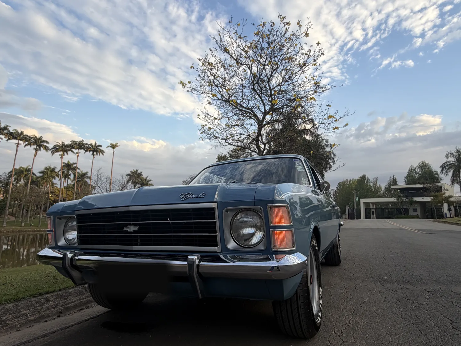 avv-chevrolet-caravan-venda-5d1ae0a-imagem-001