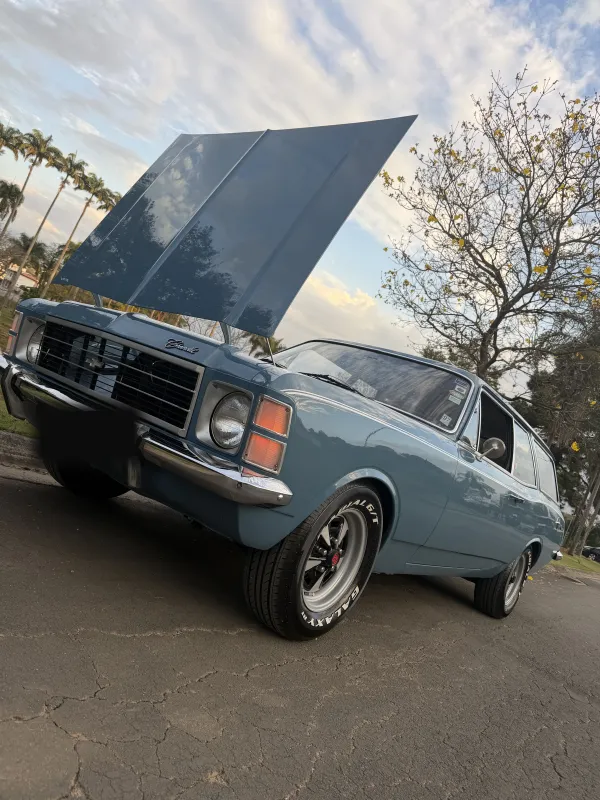 avv-chevrolet-caravan-venda-5d1ae0a-imagem-003