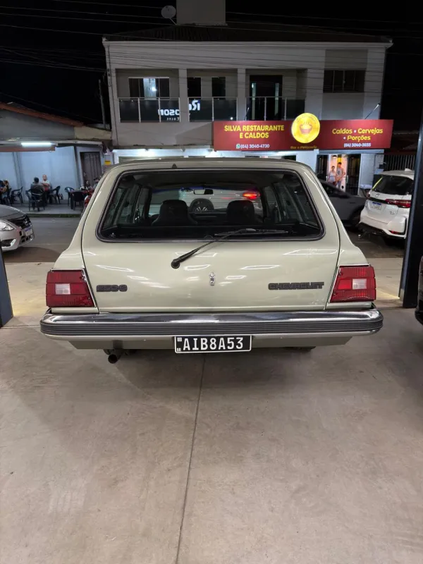 avv-chevrolet-caravan-venda-8b8984a-imagem-006