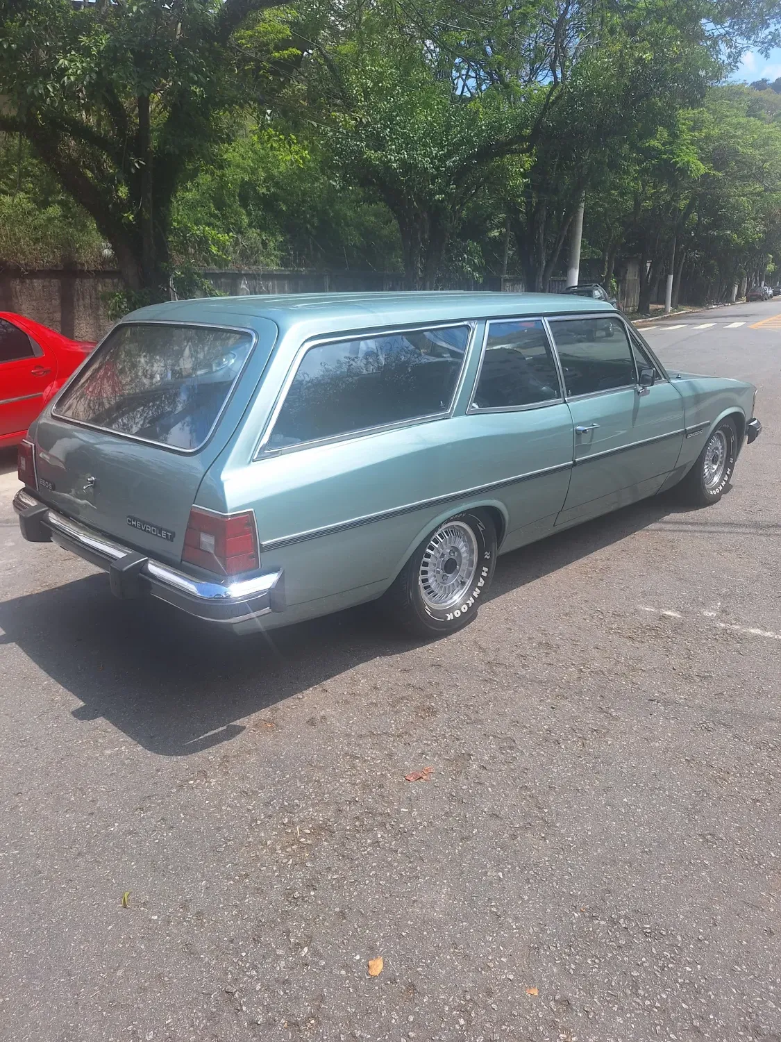 avv-chevrolet-caravan-venda-dc396ca-imagem-005