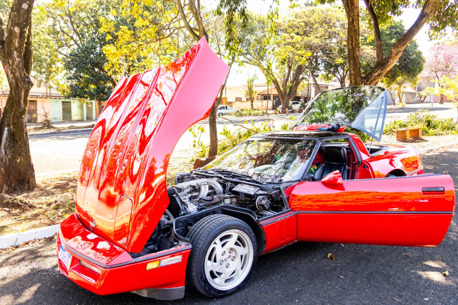dpo0m4u-imagem-001