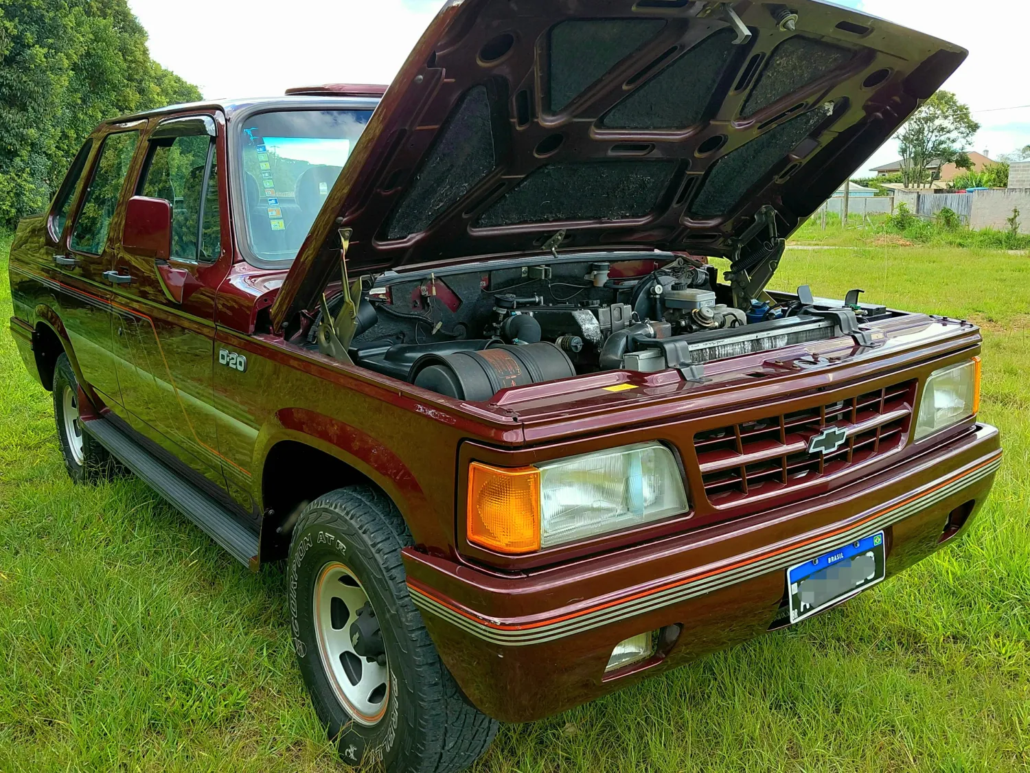 avv-chevrolet-d20-venda-51e339e-imagem-010