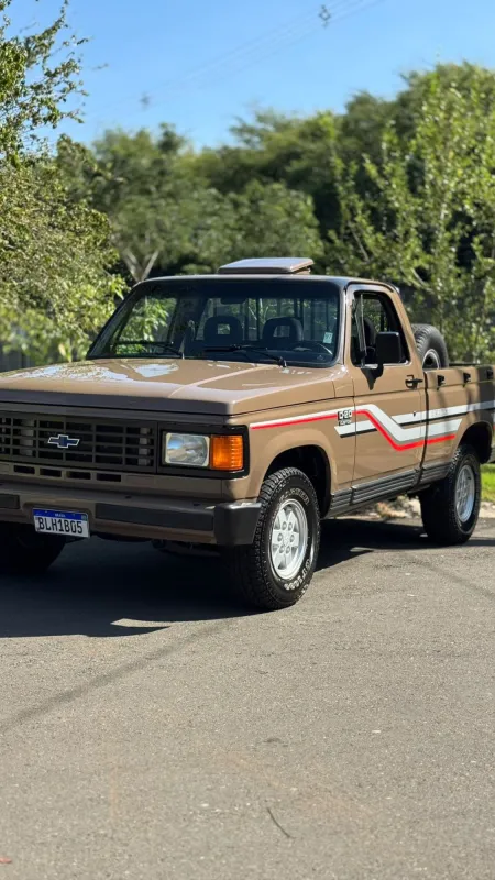 avv-chevrolet-d20-venda-7e13948-imagem-002