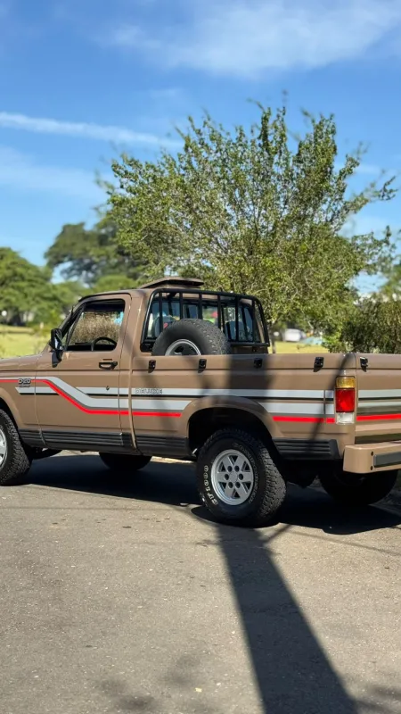 avv-chevrolet-d20-venda-7e13948-imagem-003