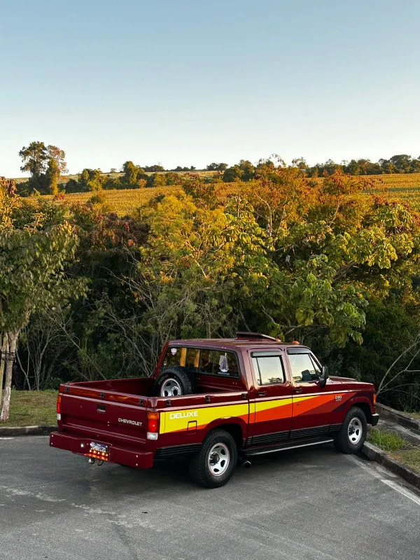avv-chevrolet-d20-venda-9fc47ec-imagem-010