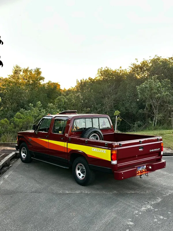 avv-chevrolet-d20-venda-9fc47ec-imagem-012