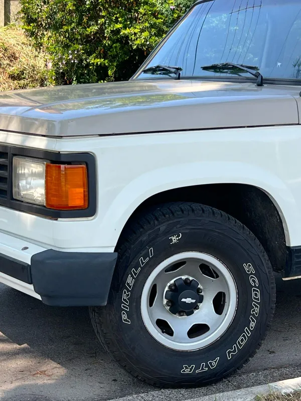 avv-chevrolet-d20-venda-e0560f2-imagem-002