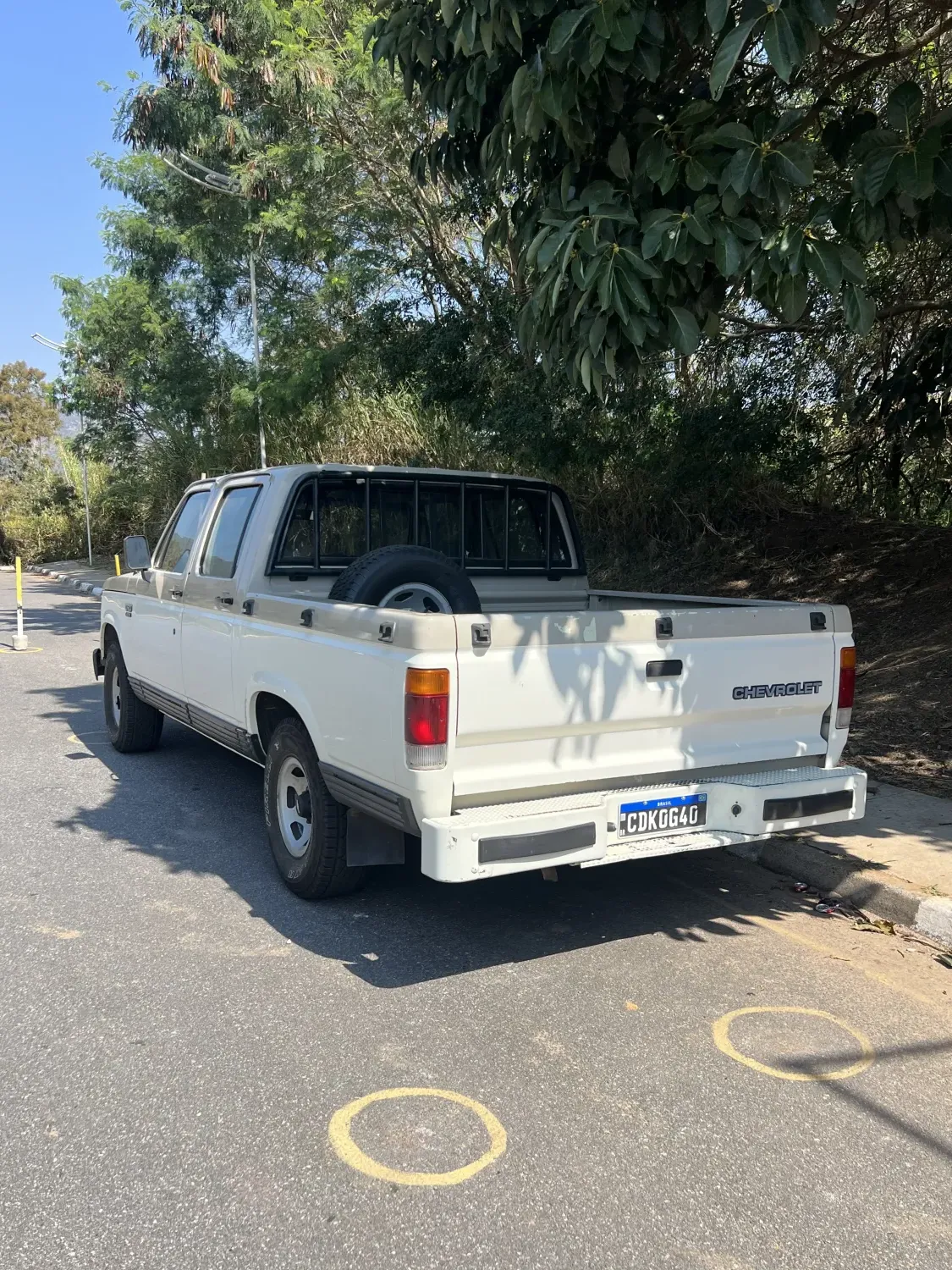 avv-chevrolet-d20-venda-e0560f2-imagem-004