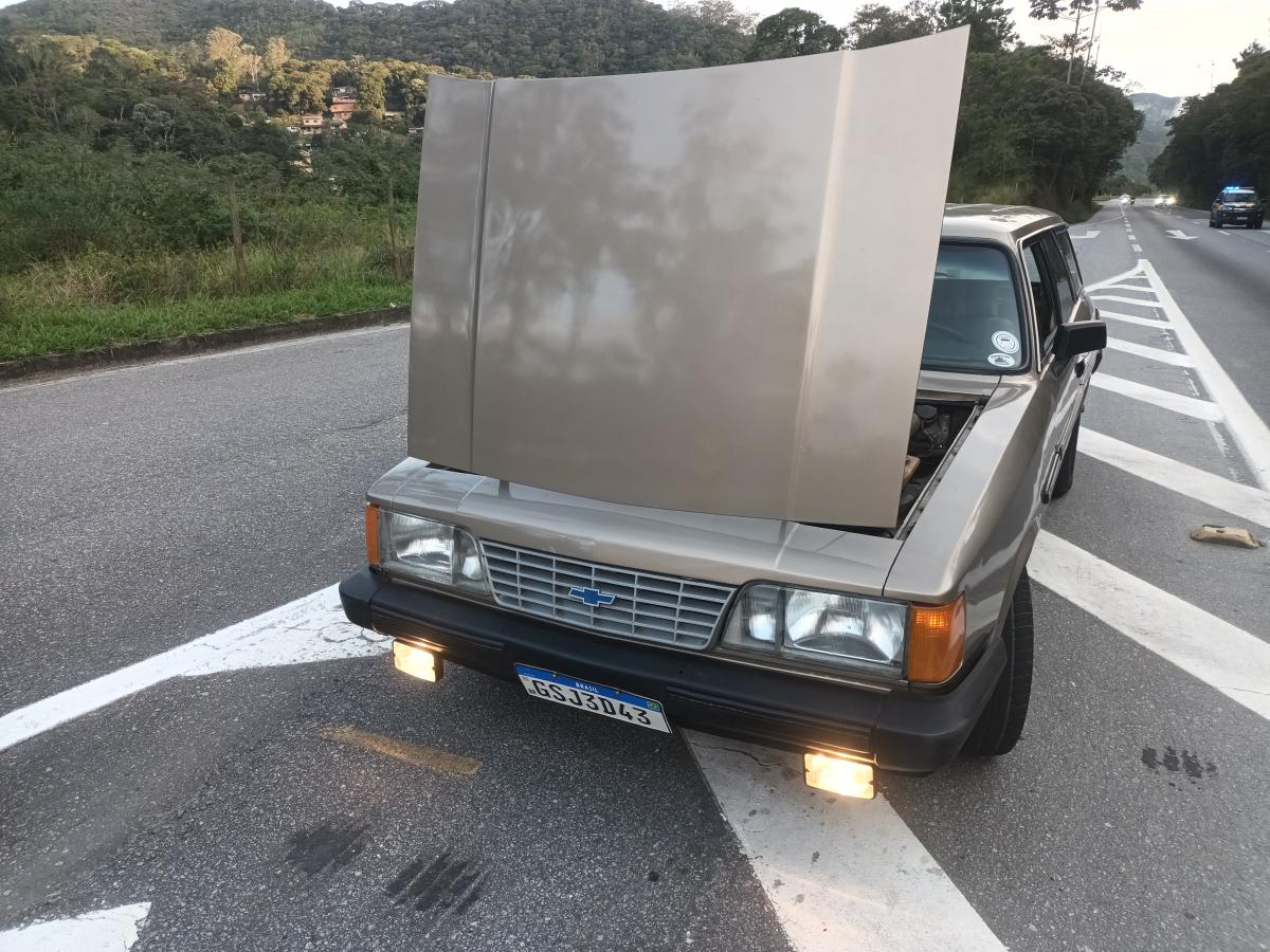 Caravan - Foto #9 do anúncio à venda de Carro clássico