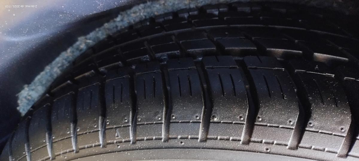 Monza - Foto #12 do anúncio à venda de Carro clássico