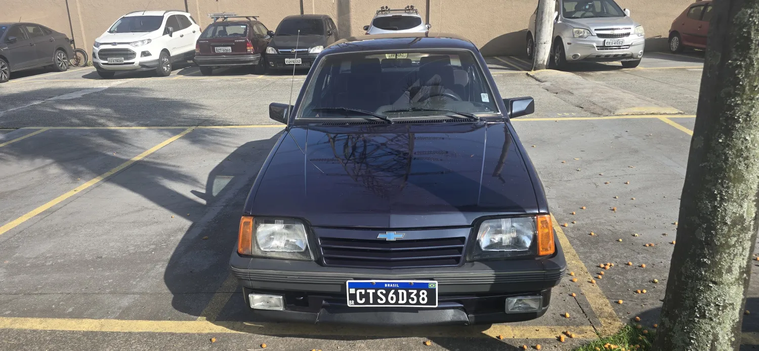 avv-chevrolet-monza-venda-1a29359-imagem-003