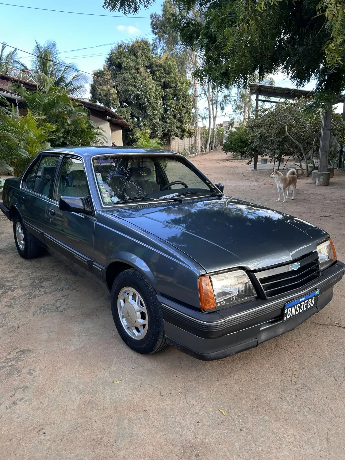 avv-chevrolet-monza-venda-871e360-imagem-001