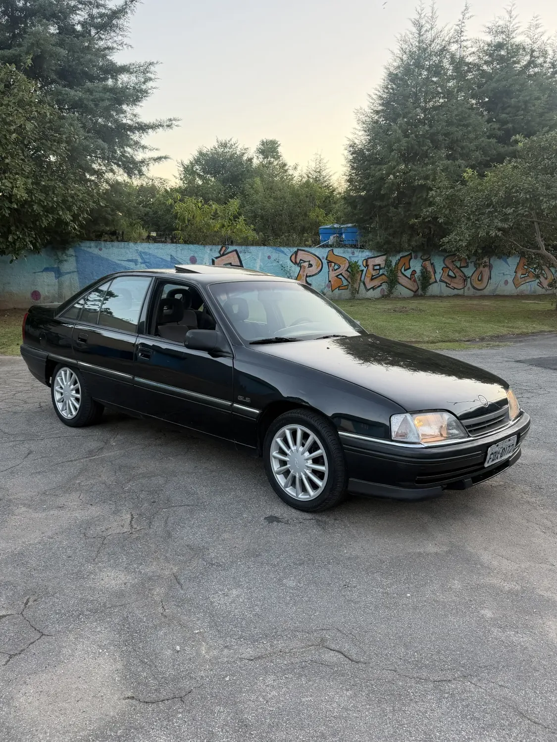avv-chevrolet-omega-gls-2-2-teto-raro-venda-gpqgt8k-imagem-012