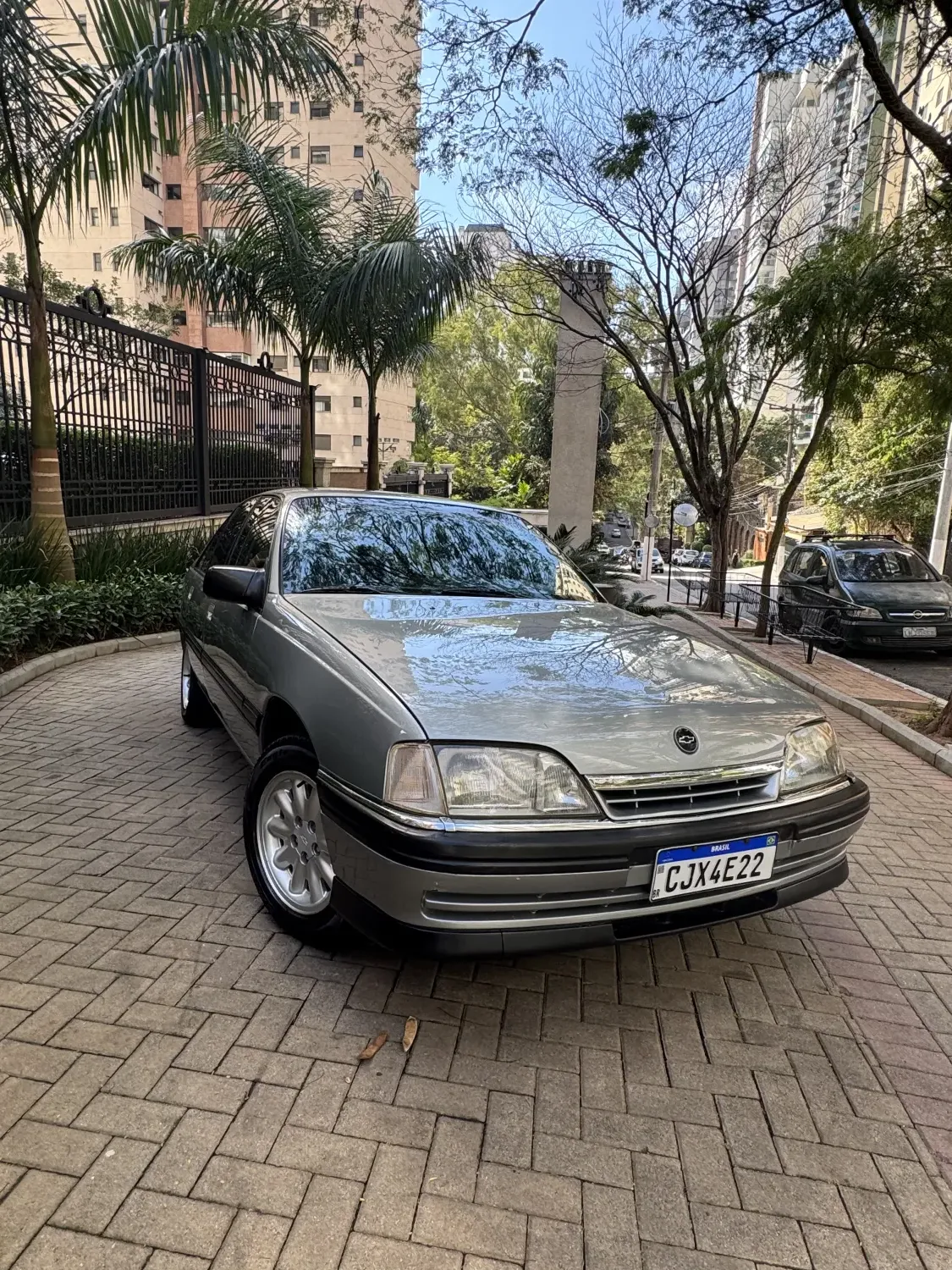 avv-chevrolet-omega-venda-79804db-imagem-001