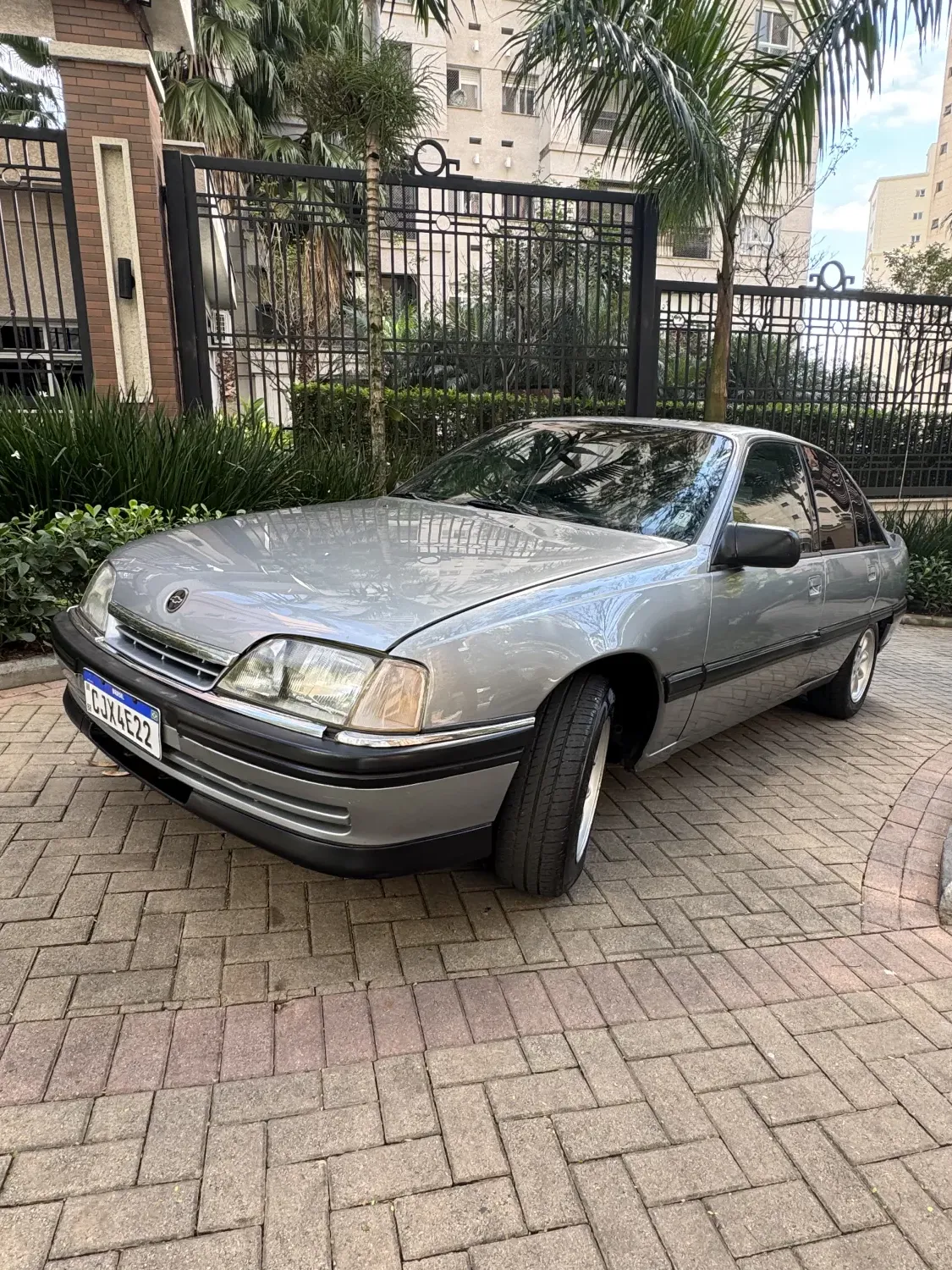 avv-chevrolet-omega-venda-79804db-imagem-002