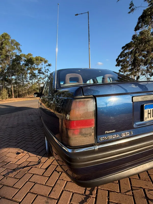 avv-chevrolet-omega-venda-a8ca1c9-imagem-007