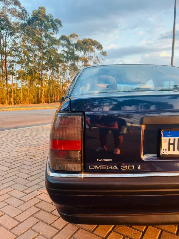 avv-chevrolet-omega-venda-a8ca1c9-imagem-026