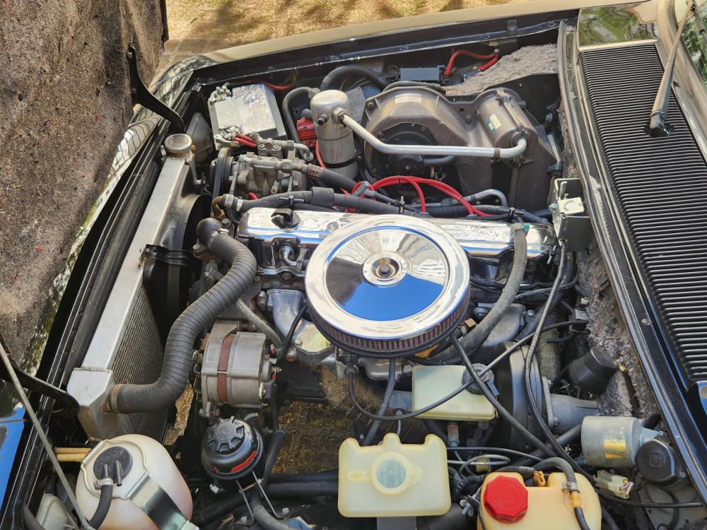 Opala - Foto #28 do anúncio à venda de Carro clássico