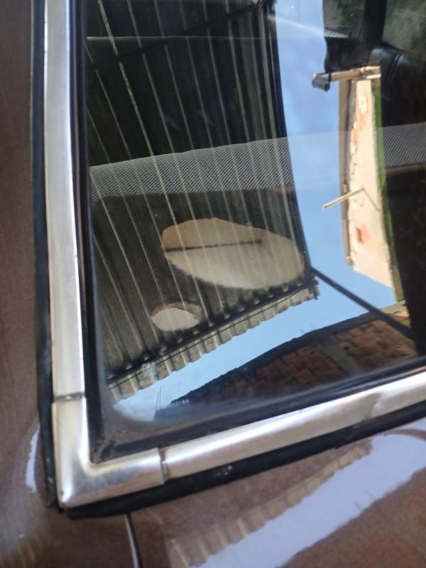 Opala - Foto #16 do anúncio à venda de Carro clássico