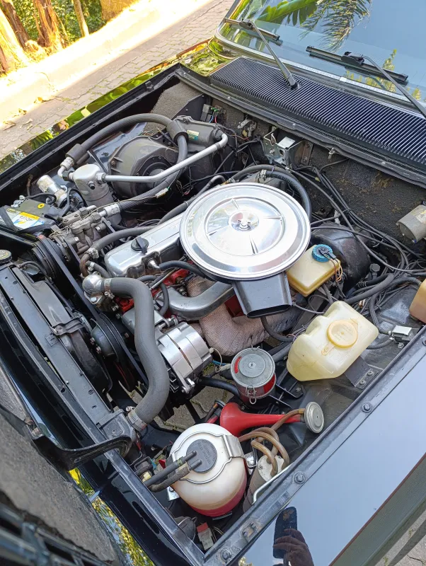 avv-chevrolet-opala-venda-09937c1-imagem-010