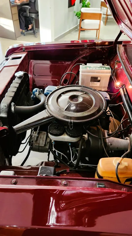 avv-chevrolet-opala-venda-884d525-imagem-010