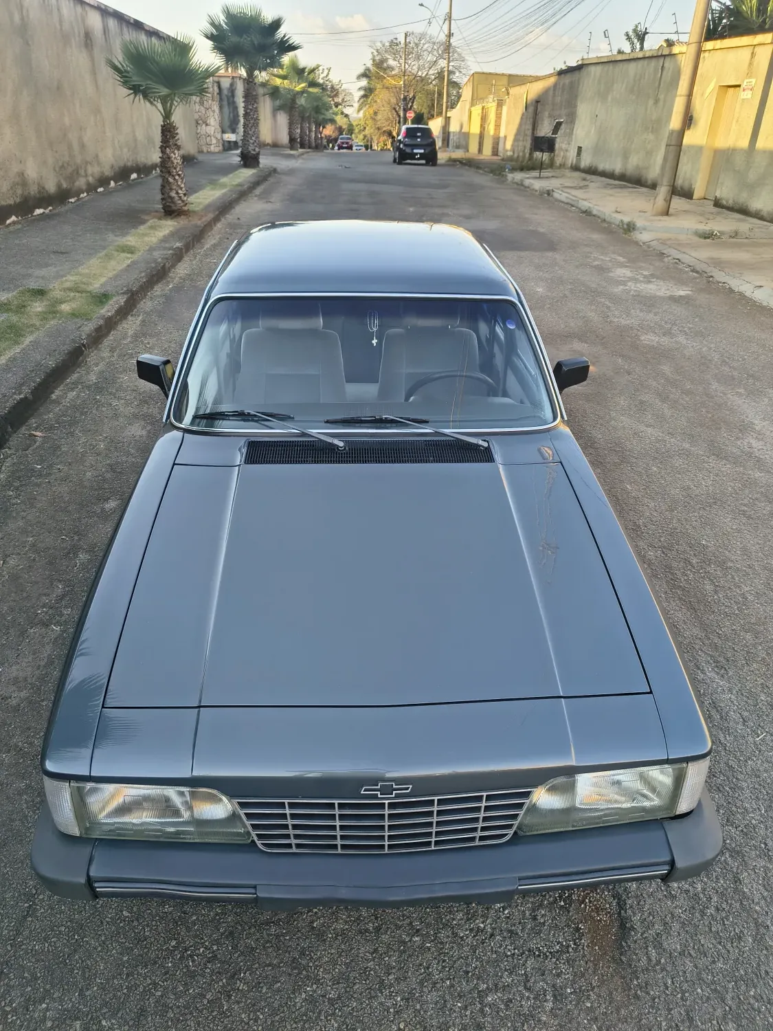avv-chevrolet-opala-venda-cbed911-imagem-007