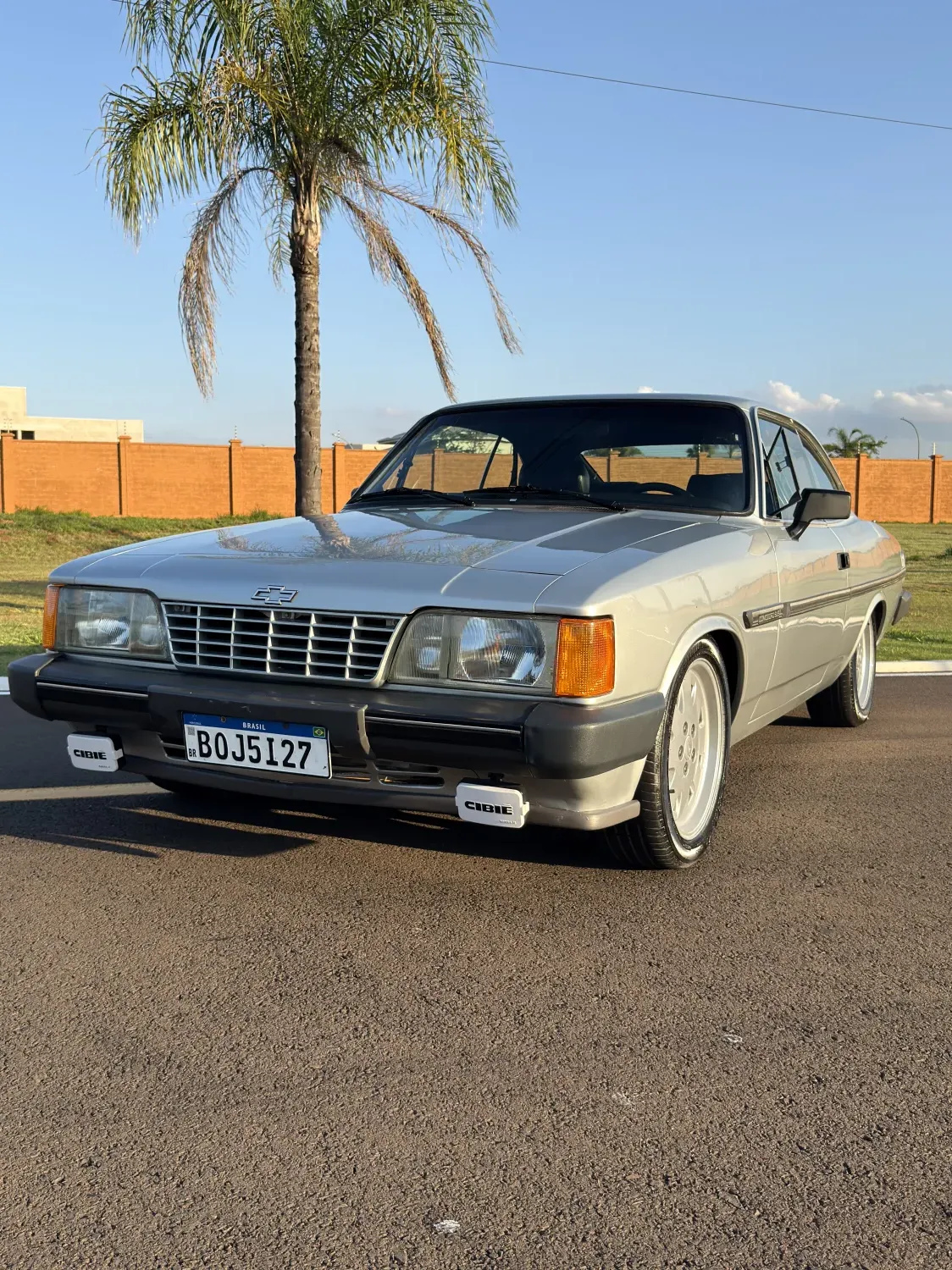 avv-chevrolet-opala-venda-f957603-imagem-006