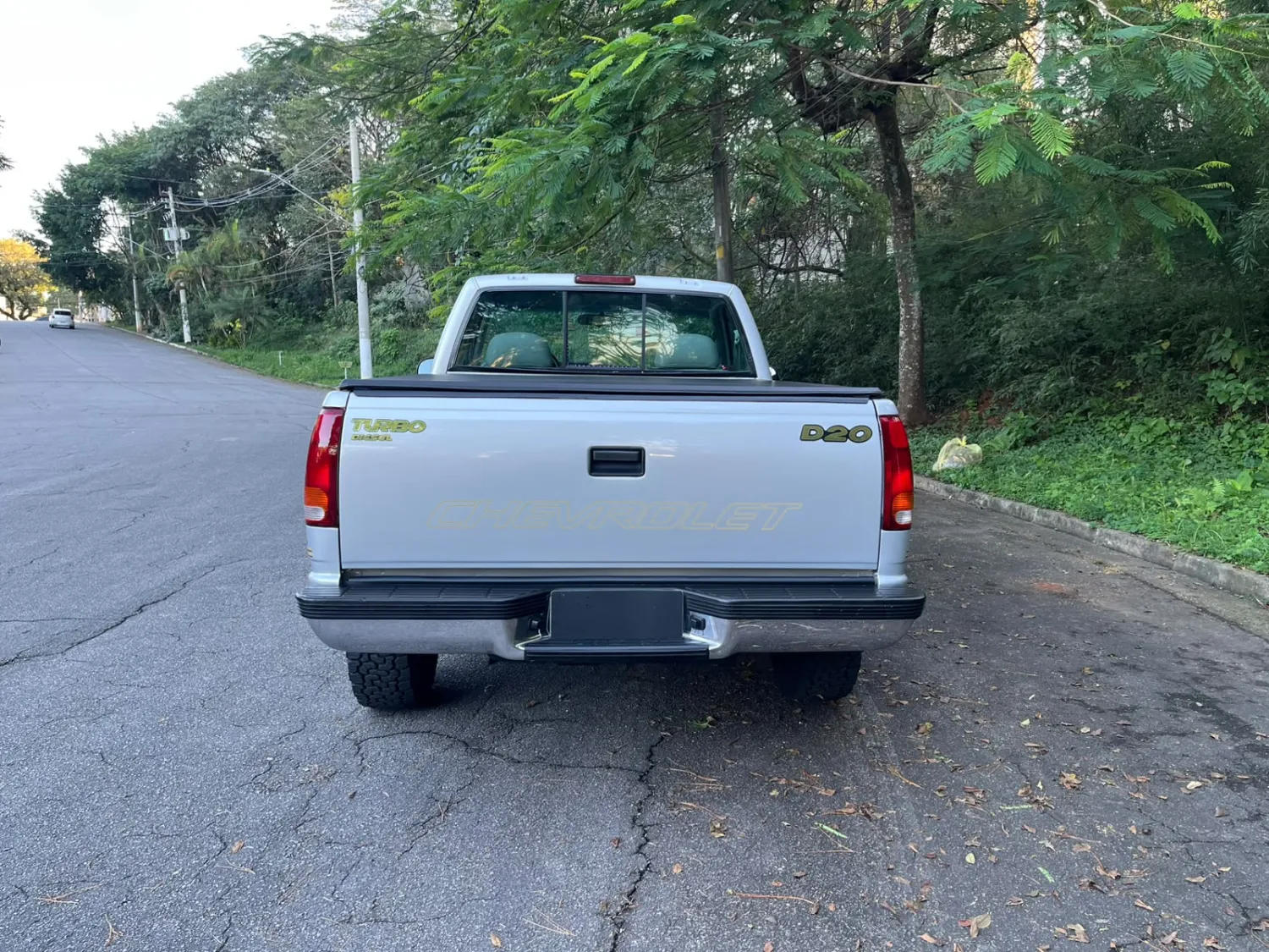 avv-chevrolet-silverado-d20-venda-gq9dew6-imagem-008