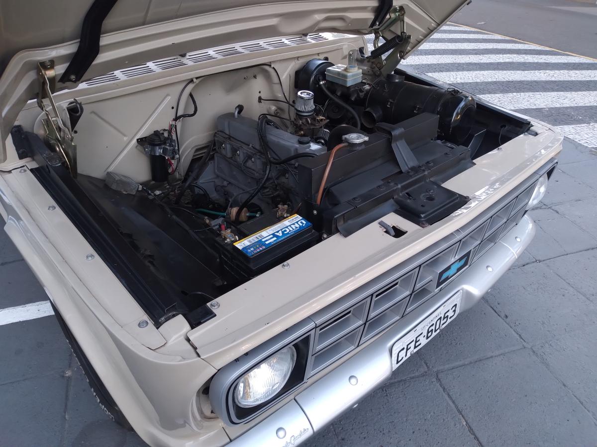Veraneio - Foto #8 do anúncio à venda de Carro clássico