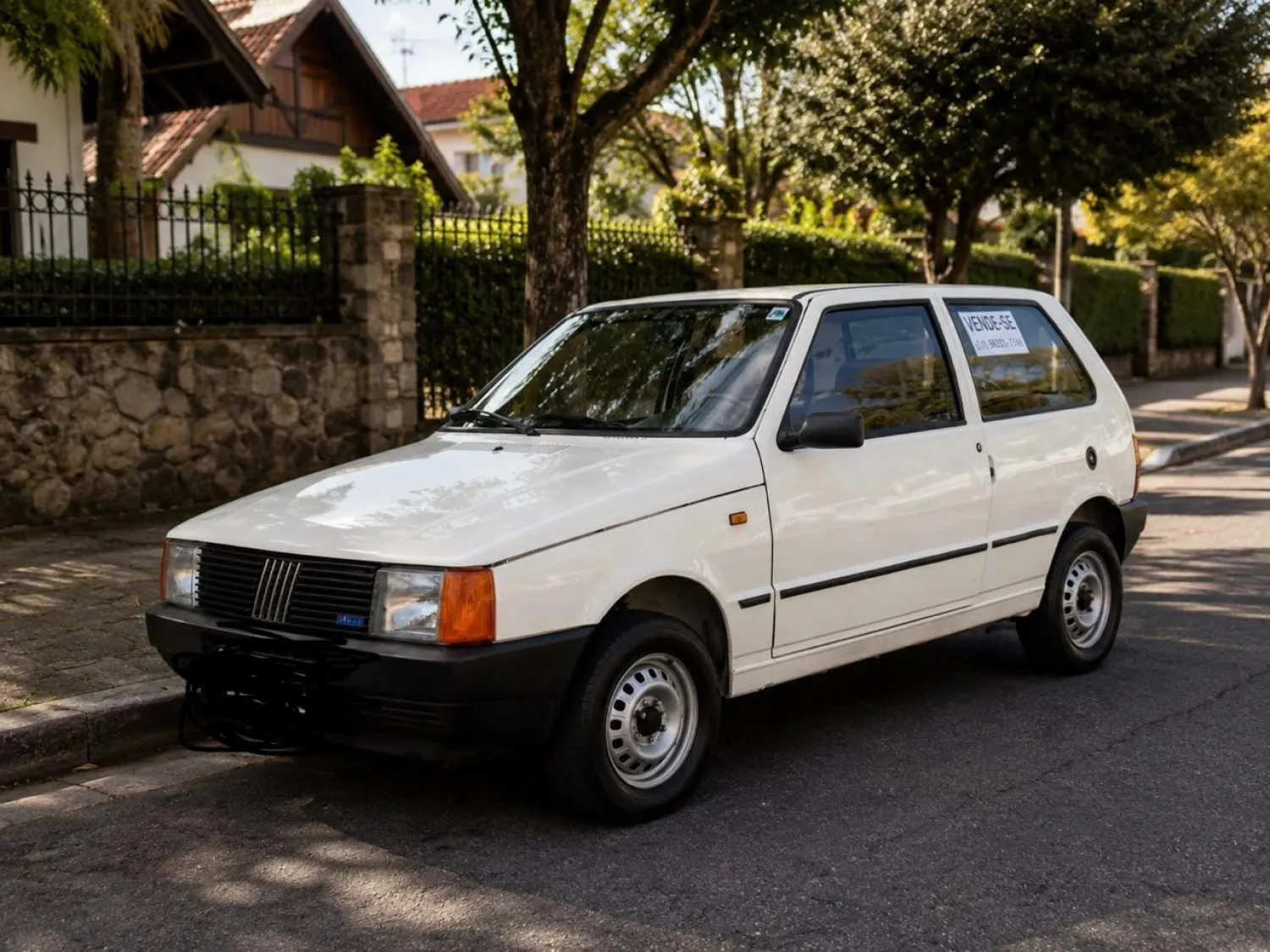 44z1egj-imagem-001
