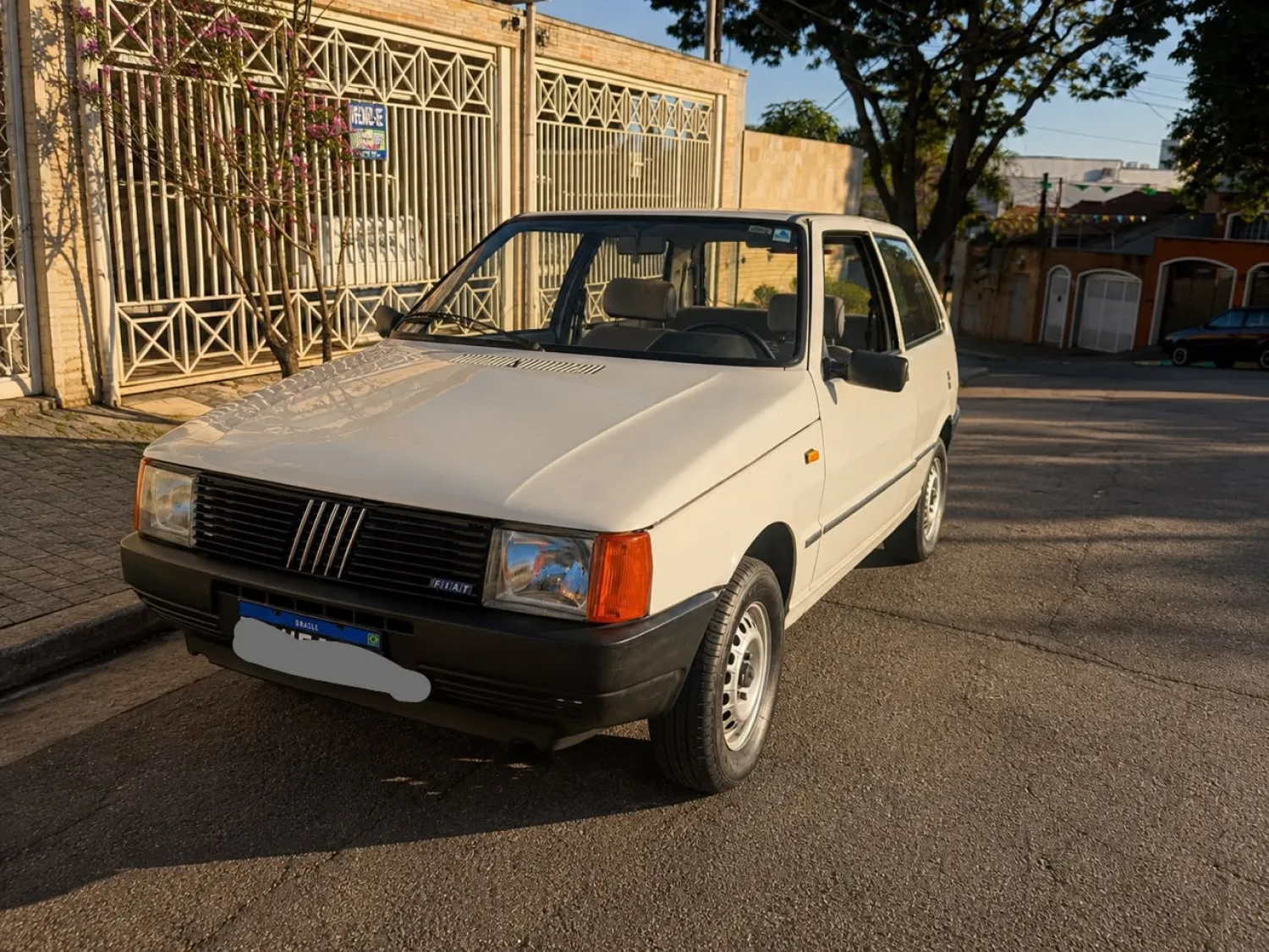 44z1egj-imagem-003