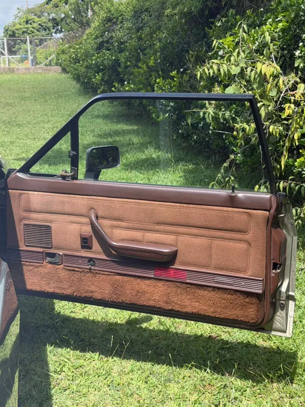Del Rey - Foto #10 do anúncio à venda de Carro clássico