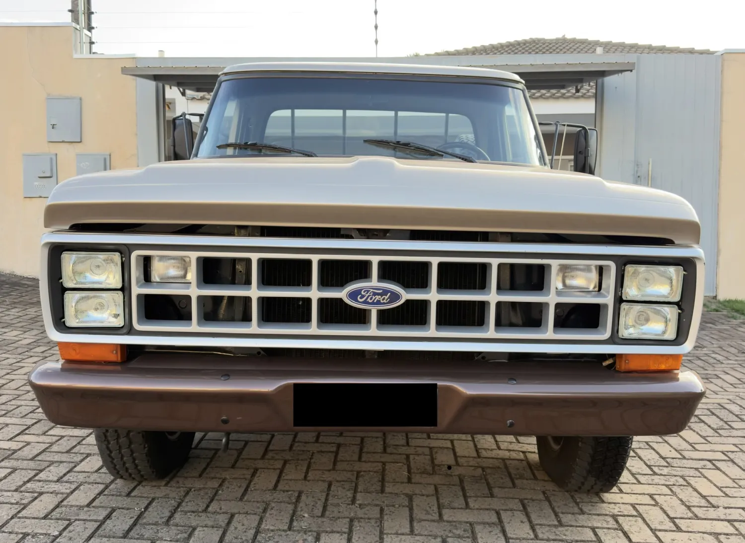 F100 - Foto #10 do anúncio à venda de Carro clássico