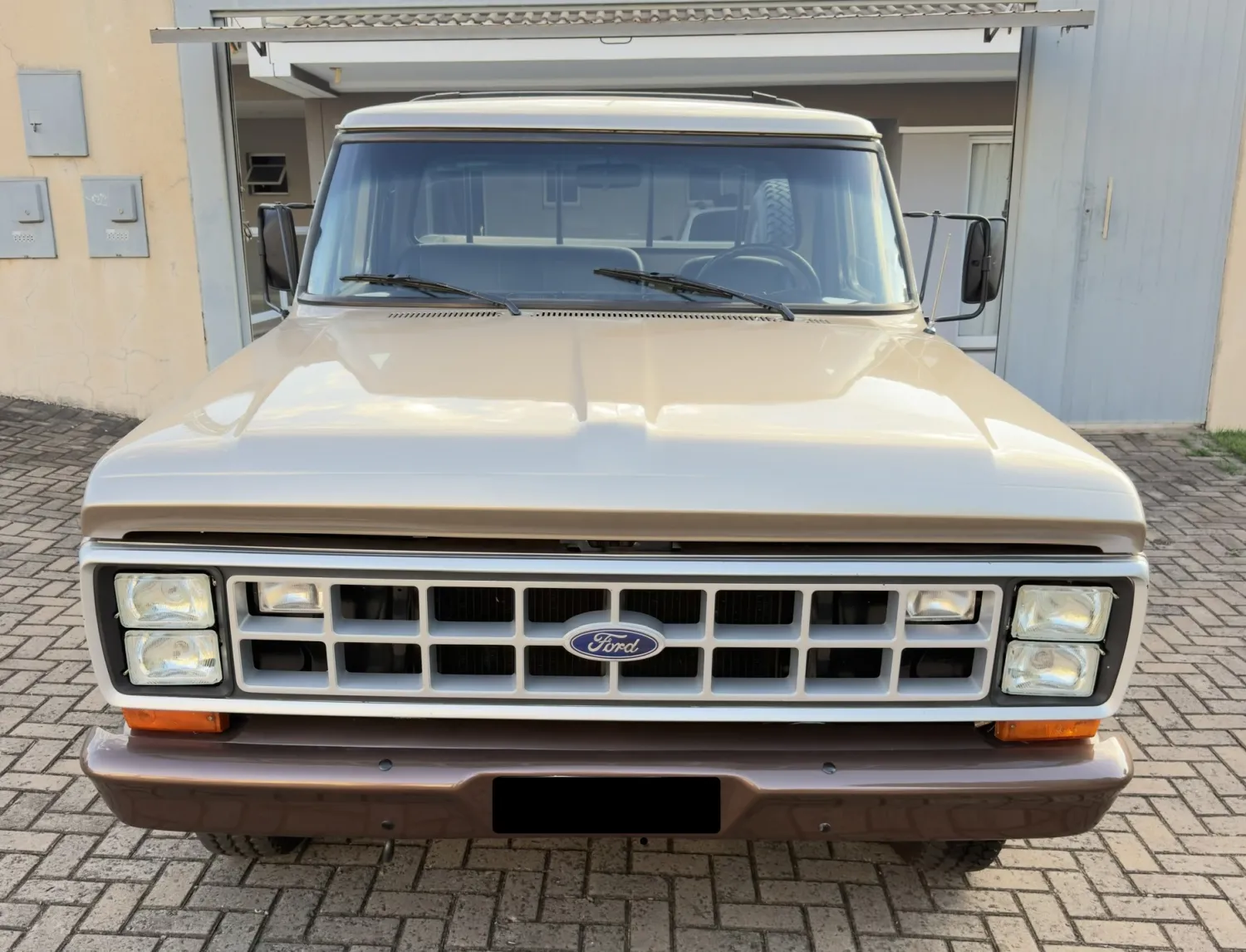 F100 - Foto #11 do anúncio à venda de Carro clássico