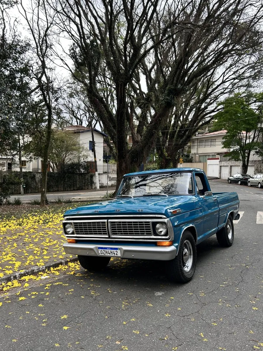 F100 - Foto #3 do anúncio à venda de Carro clássico