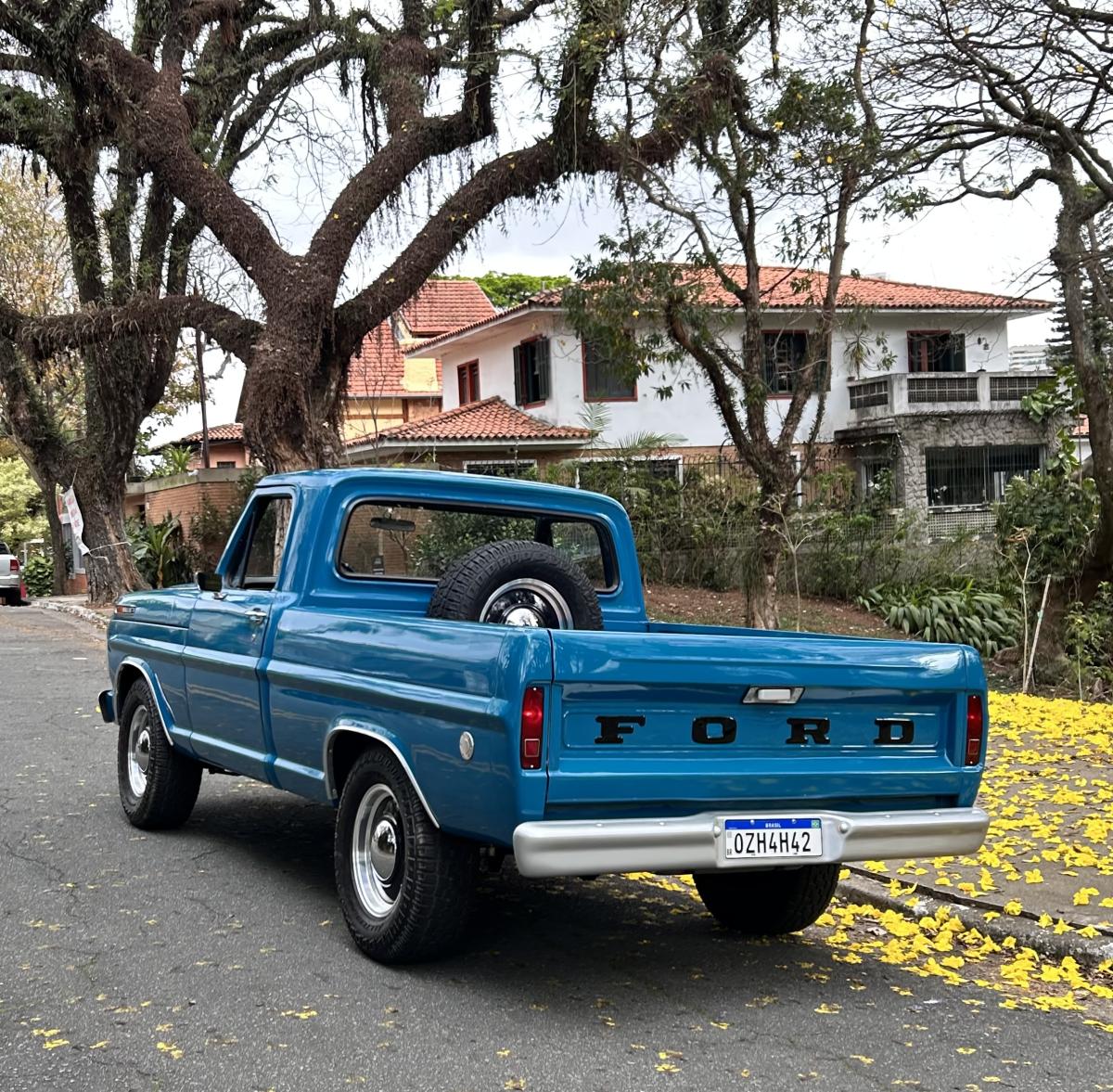 F100 - Foto #12 do anúncio à venda de Carro clássico