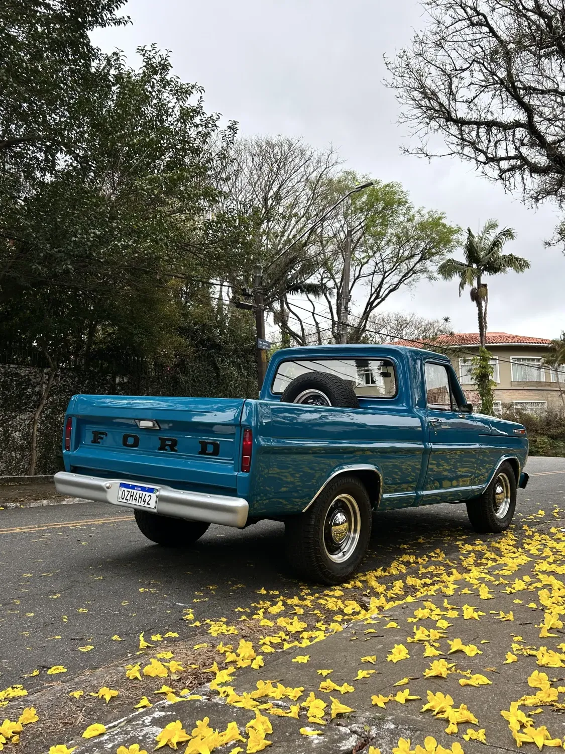 F100 - Foto #13 do anúncio à venda de Carro clássico