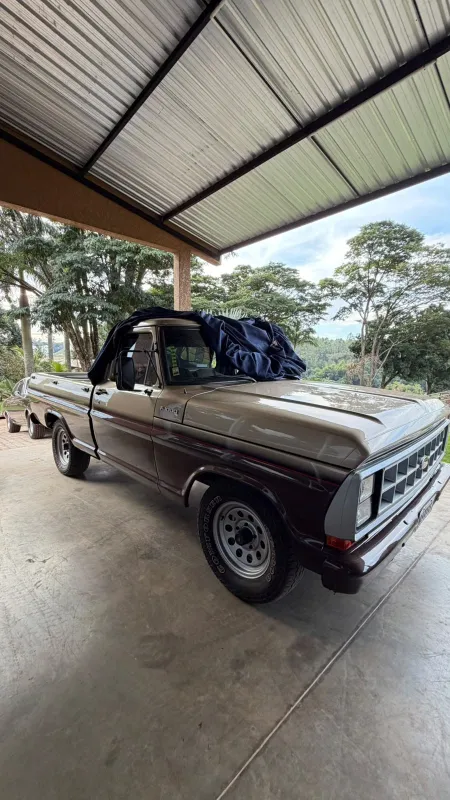 avv-ford-f1000-venda-530f0e8-imagem-003